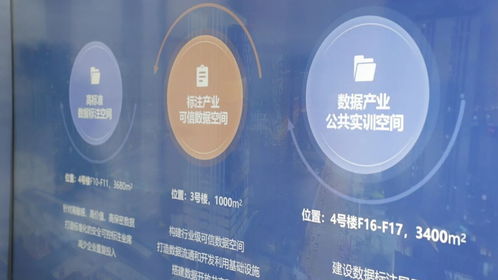 成都新津 一座引領未來的“數(shù)據(jù)加工廠”如何重塑軟件開發(fā)產(chǎn)業(yè)生態(tài)