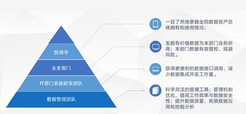 標(biāo)準(zhǔn)信息公共服務(wù)數(shù)據(jù)治理實(shí)踐 某市標(biāo)準(zhǔn)技術(shù)研究院軟件開發(fā)項(xiàng)目的深度解析